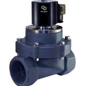 Wisdom International Corporation WIC Valve