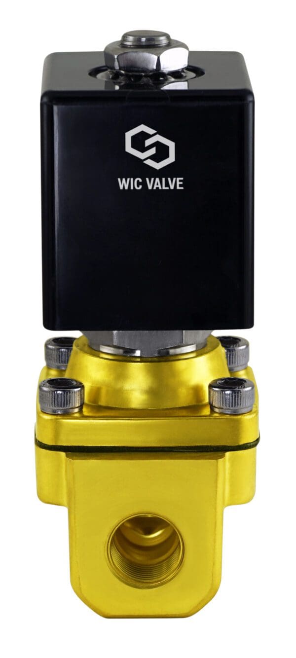 Wisdom International Corporation WIC Valve