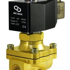 Wisdom International Corporation WIC Valve